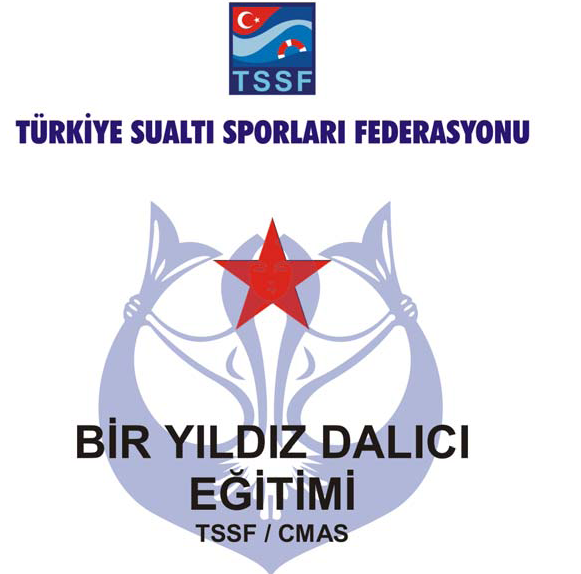 cmas-1-yildiz-art