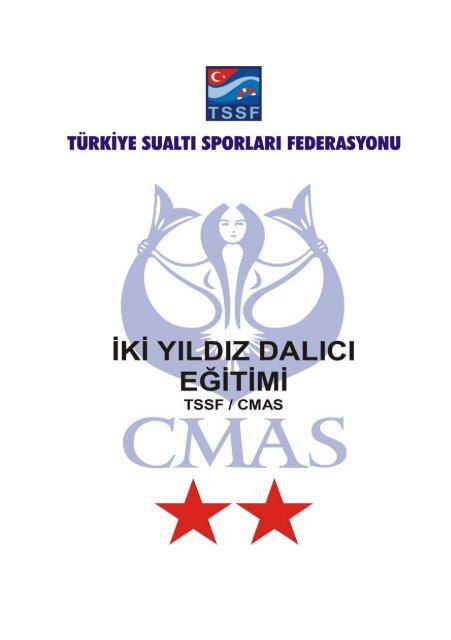 cmas-2-yildiz-art