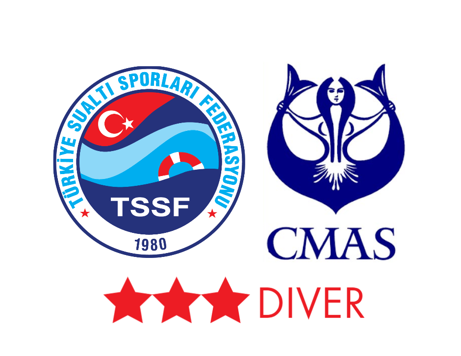 cmas-3-yildiz-art